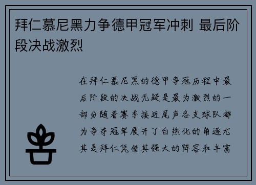 拜仁慕尼黑力争德甲冠军冲刺 最后阶段决战激烈